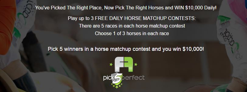 Fandaction horse racing promo